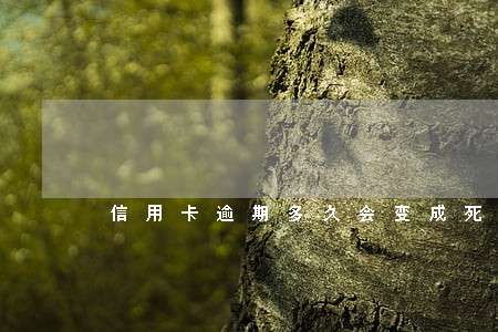 信用卡逾期多久会变成死账