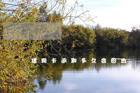 信用卡逾期多久会回血 信用卡逾期多久会回血