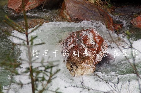 信用卡逾期多久会在征信体现