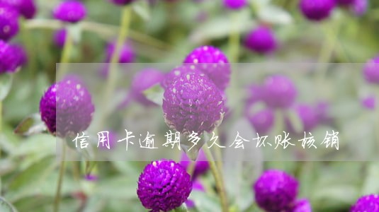信用卡逾期多久会坏账核销