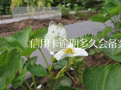 信用卡逾期多久会备案 信用卡逾期多久会备案