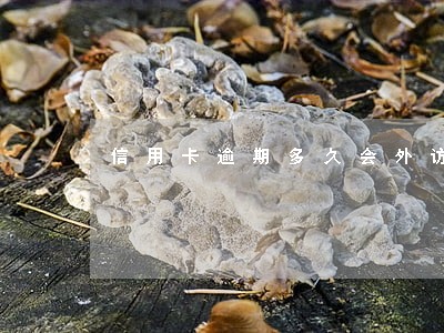 信用卡逾期多久会外访排查 信用卡逾期多久会外访排查