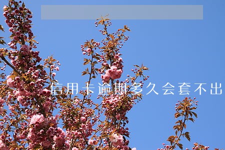 信用卡逾期多久会套不出来吗 信用卡逾期多久会套不出来吗