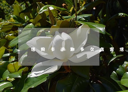 信用卡逾期多久会寄信来 信用卡逾期多久会寄信来