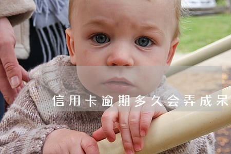 信用卡逾期多久会弄成呆账 信用卡逾期多久会弄成呆账