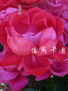 信用卡逾期多久会影响买机票