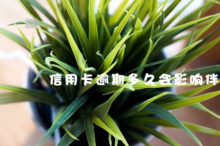 信用卡逾期多久会影响伴侣 信用卡逾期多久会影响伴侣