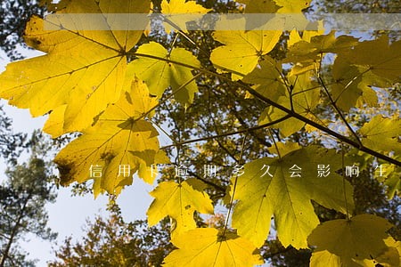 信用卡逾期多久会影响生活