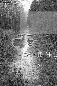 信用卡逾期多久会很严重 信用卡逾期多久会很严重