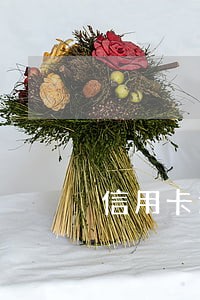 信用卡逾期多久会打公司电话