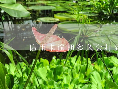 信用卡逾期多久会打到亲属哪里 信用卡逾期多久会打到亲属哪里