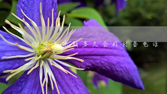 信用卡逾期多久会打村委电话 信用卡逾期多久会打村委电话
