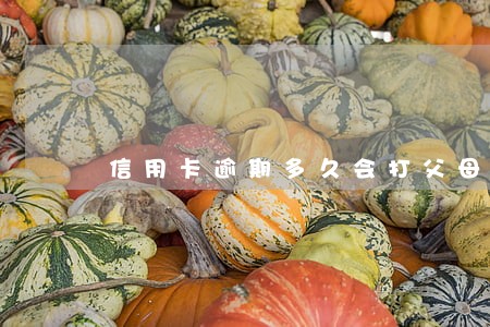 信用卡逾期多久会打父母电话 信用卡逾期多久会打父母电话