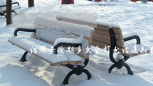 信用卡逾期多久会打电话通知朋友 信用卡逾期多久会打电话通知朋友