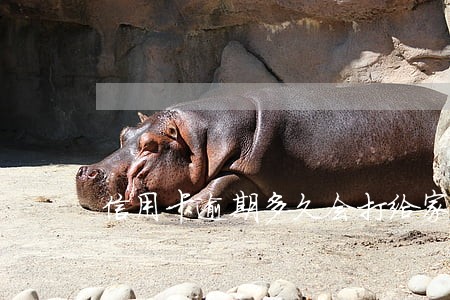 信用卡逾期多久会打给家人