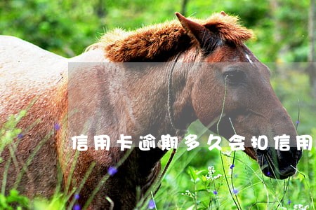 信用卡逾期多久会扣信用卡 信用卡逾期多久会扣信用卡