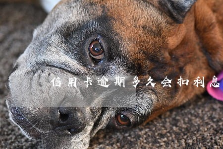 信用卡逾期多久会扣利息 信用卡逾期多久会扣利息