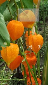 信用卡逾期多久会扣名下 信用卡逾期多久会扣名下