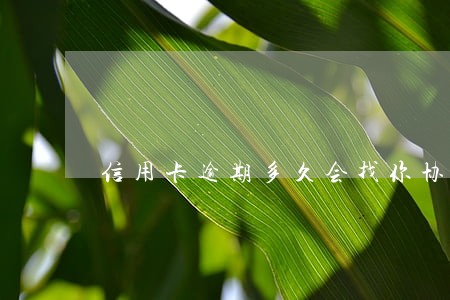 信用卡逾期多久会找你协商 信用卡逾期多久会找你协商
