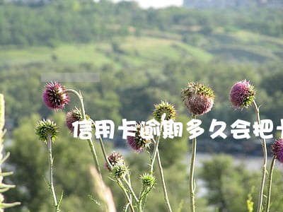 信用卡逾期多久会把卡冻结