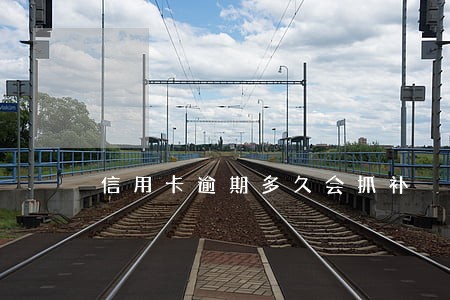 信用卡逾期多久会抓补 信用卡逾期多久会抓补