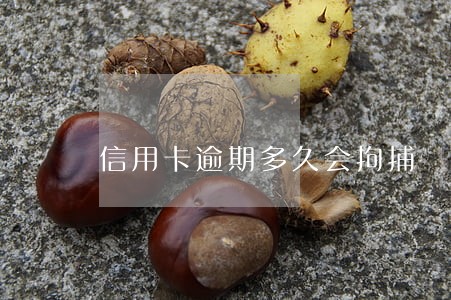 信用卡逾期多久会拘捕 信用卡逾期多久会拘捕