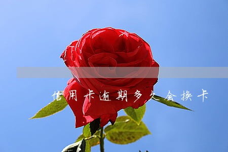 信用卡逾期多久会换卡 信用卡逾期多久会换卡