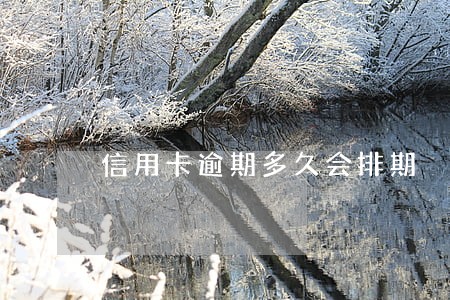 信用卡逾期多久会排期 信用卡逾期多久会排期