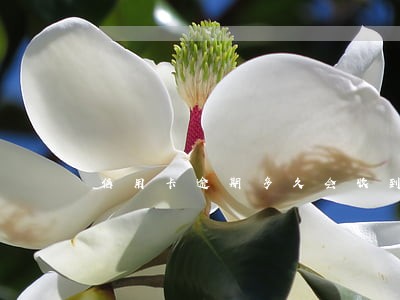 信用卡逾期多久会收到传票 信用卡逾期多久会收到传票