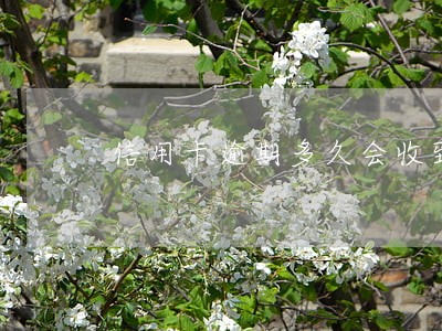 信用卡逾期多久会收到信