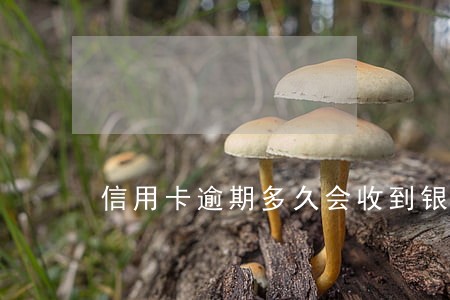 信用卡逾期多久会收到银行传票