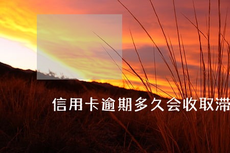 信用卡逾期多久会收取滞纳金 信用卡逾期多久会收取滞纳金