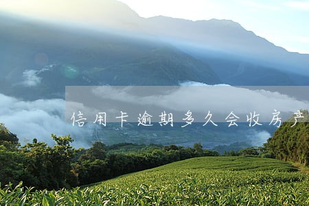 信用卡逾期多久会收房产