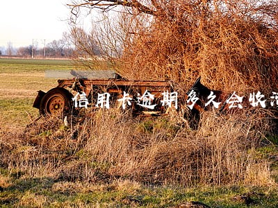 信用卡逾期多久会收滞纳金 信用卡逾期多久会收滞纳金