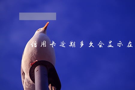 信用卡逾期多久会显示在征信 信用卡逾期多久会显示在征信