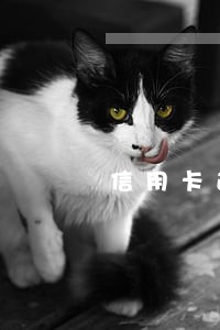 信用卡逾期多久会有不良 信用卡逾期多久会有不良