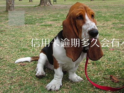信用卡逾期多久会有不良记录保留