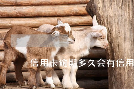 信用卡逾期多久会有信用记录 信用卡逾期多久会有信用记录