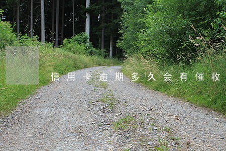 信用卡逾期多久会有催收 信用卡逾期多久会有催收