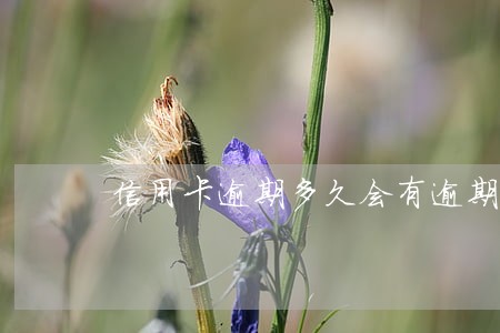 信用卡逾期多久会有逾期 信用卡逾期多久会有逾期