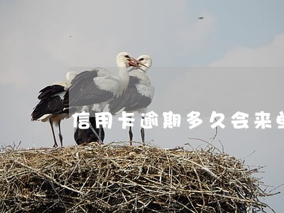 信用卡逾期多久会来单位 信用卡逾期多久会来单位