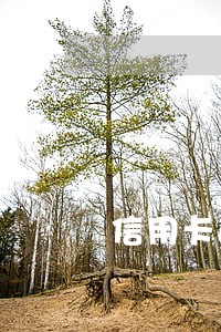 信用卡逾期多久会来家访
