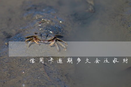 信用卡逾期多久会没收财产 信用卡逾期多久会没收财产