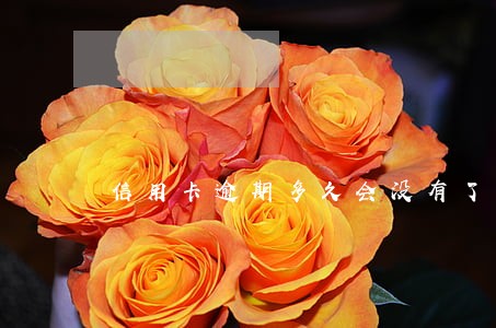 信用卡逾期多久会没有了