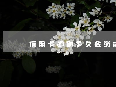 信用卡逾期多久会消除卡 信用卡逾期多久会消除卡