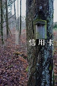 信用卡逾期多久会清楚 信用卡逾期多久会清楚