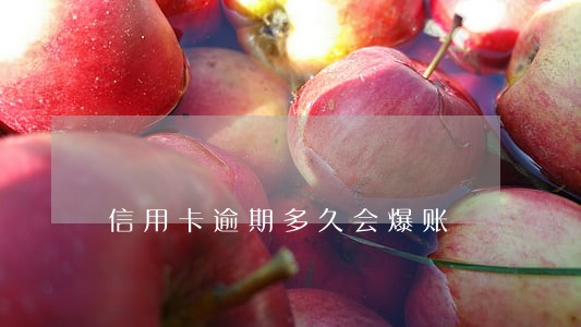 信用卡逾期多久会爆账 信用卡逾期多久会爆账