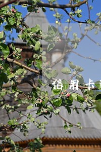 信用卡逾期多久会秒扣 信用卡逾期多久会秒扣