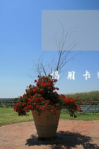 信用卡逾期多久会移交公安局 信用卡逾期多久会移交公安局