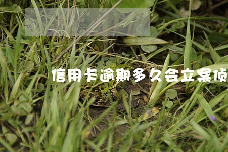 信用卡逾期多久会立案侦查 信用卡逾期多久会立案侦查
